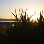The Great Salt Lake, Utah