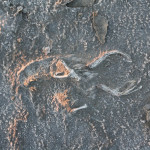 The Great Salt Lake, Utah